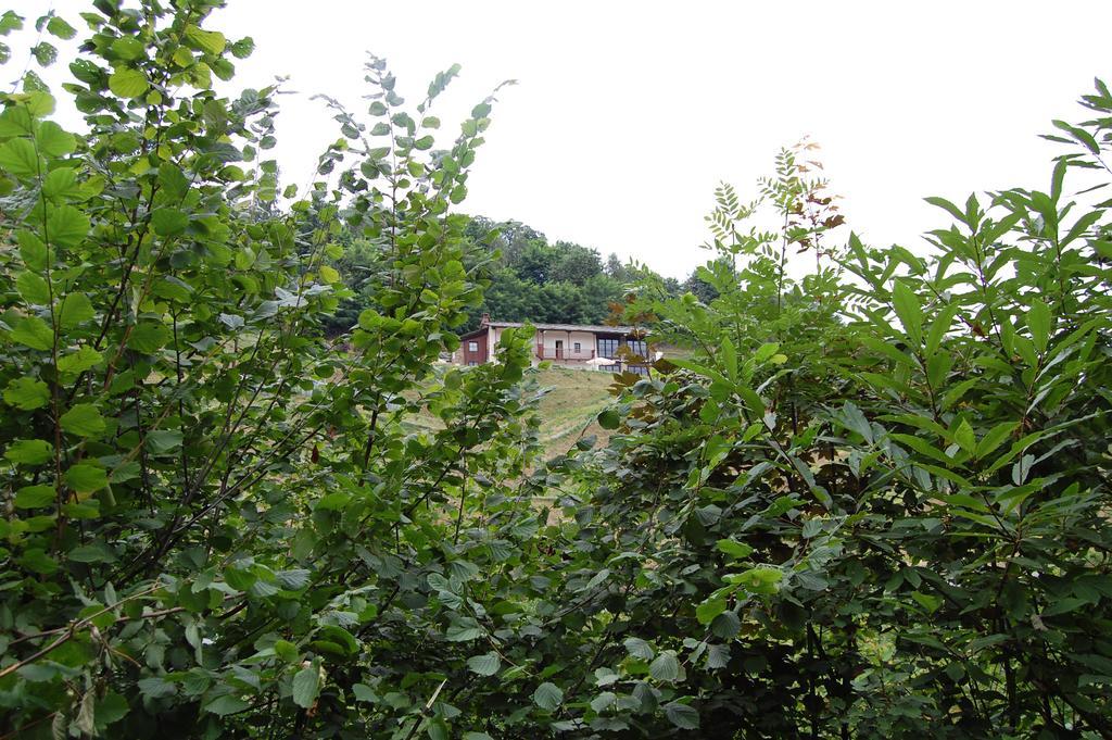 Sere Di Sosta Bagnolo Piemonte Exteriör bild